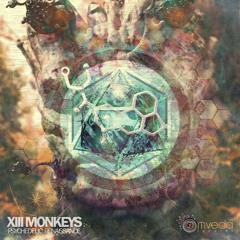 XIII Monkeys - Alien Agenda (Free Download)
