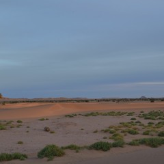 Méditation de la joie