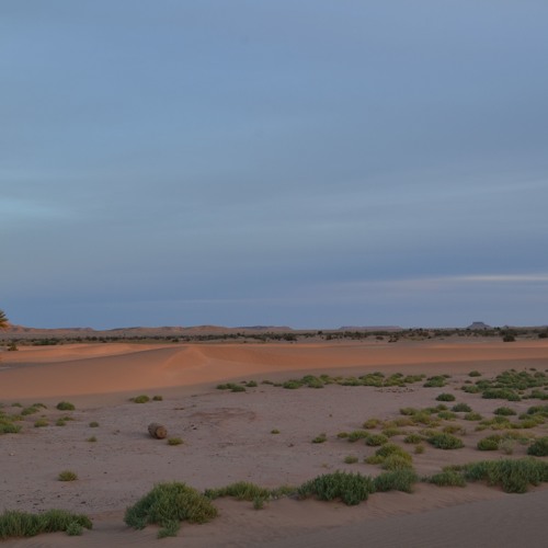 Méditation de la joie