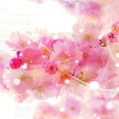 サムライガール