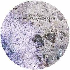 Deepbass - Amazonian