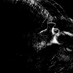 Brute