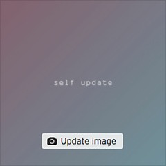 self update(diskassette Original Mix)