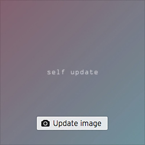 self update(diskassette Original Mix)