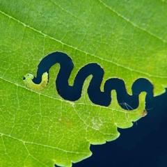 take care - beach house (cover)