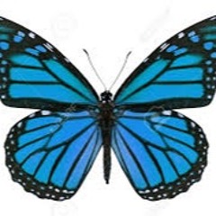 Blue monarch (Artquariella remix)