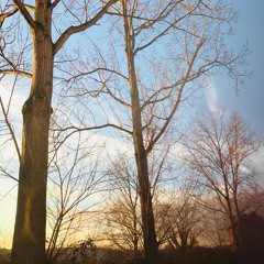 Working Class Hero (John Lennon)