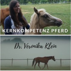 Podcast Episode Hufrehe