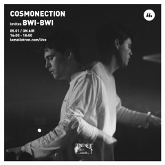 Pont Neuf Podcast 029 | Bwi-Bwi