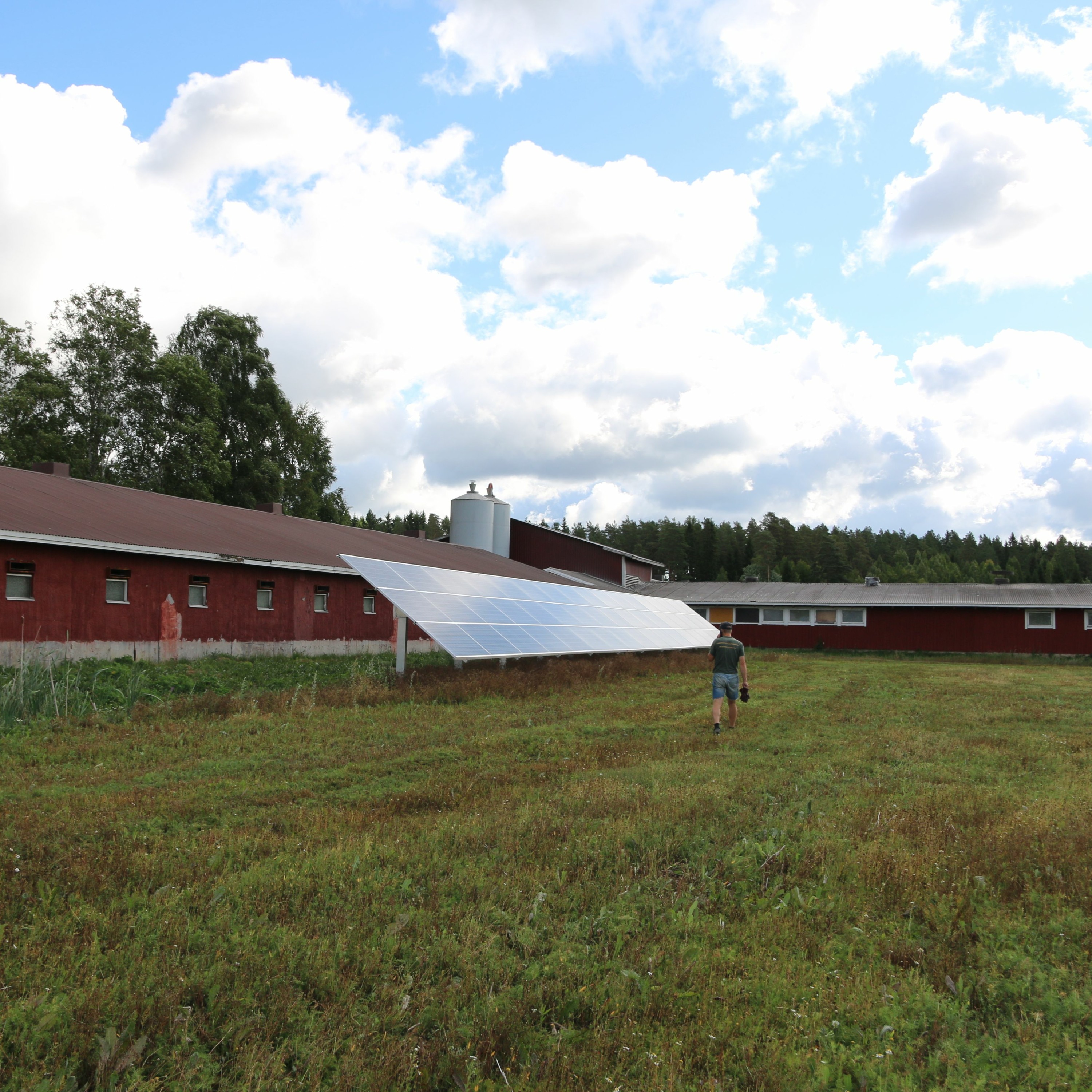Maaltavastaajat