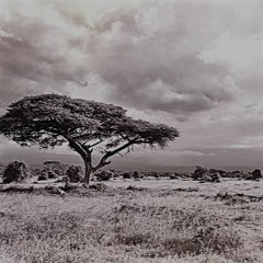 Patient 82 - DiSsEnT(ノシーク African Short Remix) [2019]