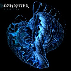 Bogtrotter - Phantom Zone - COL046