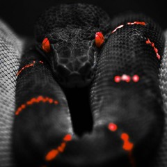 MAK - MAK Mamba (Mo Bamba Remix)