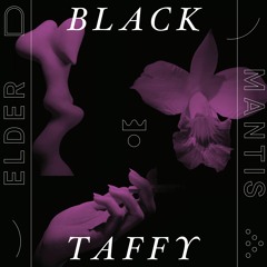Black Taffy - Lantern Flies In Mist