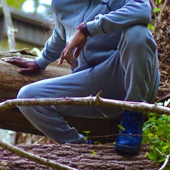 22x05x18 | Rank$ Luvs Trap Music Vol. 1 (Underrated bangers 2018)