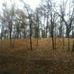 The Wain - The Hollow Men (Lyrics by T S Elliot)