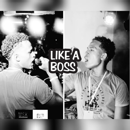 LIN FLEX _ PIRATERIE - JOR'DAN & RO'AN [ MSK FAMILY ]