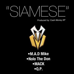 Siamese Ft Nolo The Don, MACK, QP