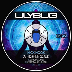 Snippet - Nick Hook A Higher Soul Original Mix Ulybug