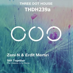 Zeni N & Erdit Mertiri - Still Together (The Distance & Igi Remix)