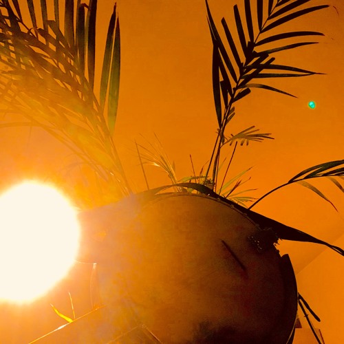 Palm Tree Banjo