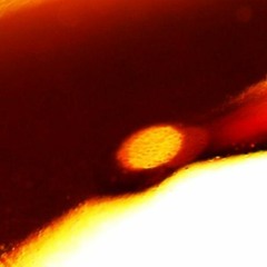 v e l v e t f e v e r