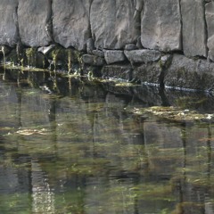 GRAND HOTEL - River Thronic