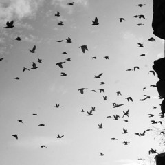 Yaqub Zürüfçü - Yoldaş Kürdistan