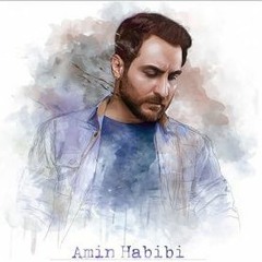Amin Habibi - Tarkam Nakon