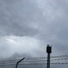 hiçbir şey hakkında