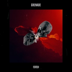 Grenade Freestyle feat. G Krieger