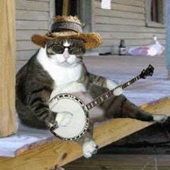 Banjo Trap Cat Has A New Vocalist
