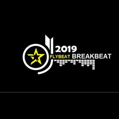 NEW BREAKBEAT 2019 VOL.01