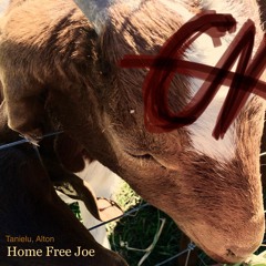 Home Free Joe(part 1)
