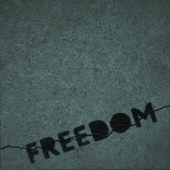 Miyagi & Andy Panda feat. Morazy - Freedom