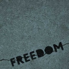 Miyagi & Andy Panda(feat. Moeazy) - Freedom