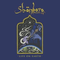 Drumspyder - Salamander (Shankara Remix)