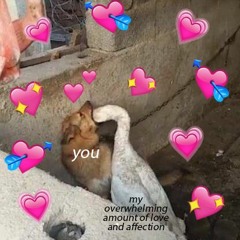 Love You Long Time Prod. Dee B