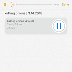 kutting onions | 3.14.2018