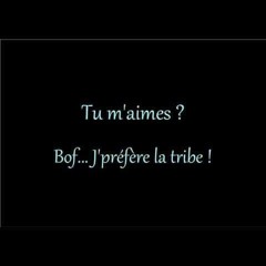 Triby23 We Are Tribe 2019