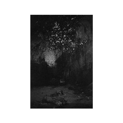 døves & fish narc - give (feat. cold hart)
