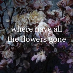Where Have All The Flowers Gone? | Pete Seeger | Cover by Katy Hallauer