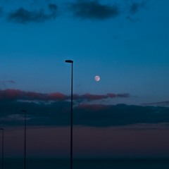 Meoss - Kapshul – Anomalous Forest