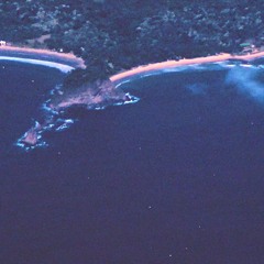 level one w/ free dl!