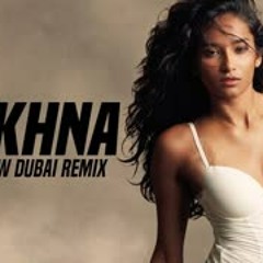 Makhna (Remix) ||  Yo Yo Honey Singh ||  DJ Shadow Dubai  || Neha Kakkar