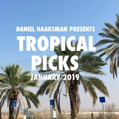 Tropical Picks January 2019