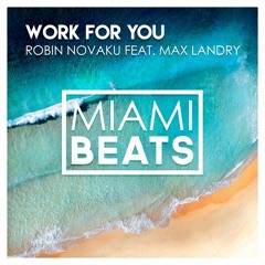 Robin Novaku feat. Max Landry - Work For You