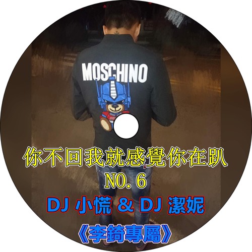 DJ 潔妮 & DJ 小慌 -《你不回我就感覺你在趴No.6 & 李錡專屬》