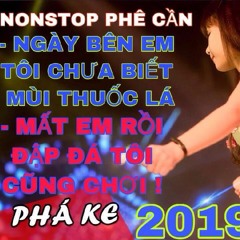 NONSTOP Vinahouse 2019 - ĐẬP ĐÁ PHÁ KE Remix ( Bass Ảo Sml ) - HT PRo