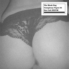 The Black Dog - Conspiracy Tapes 08